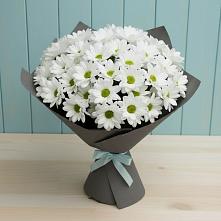 Букет цветов из:  Хризантемы #REPLACE_PRED# Осташево