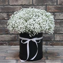 Цветочная композиция из Гипсофила в шляпной коробке в Осташево