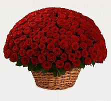 Премиум букет из: Розы в Осташево